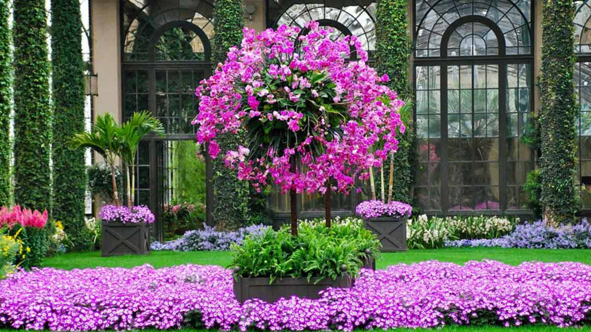 Цветочный сад