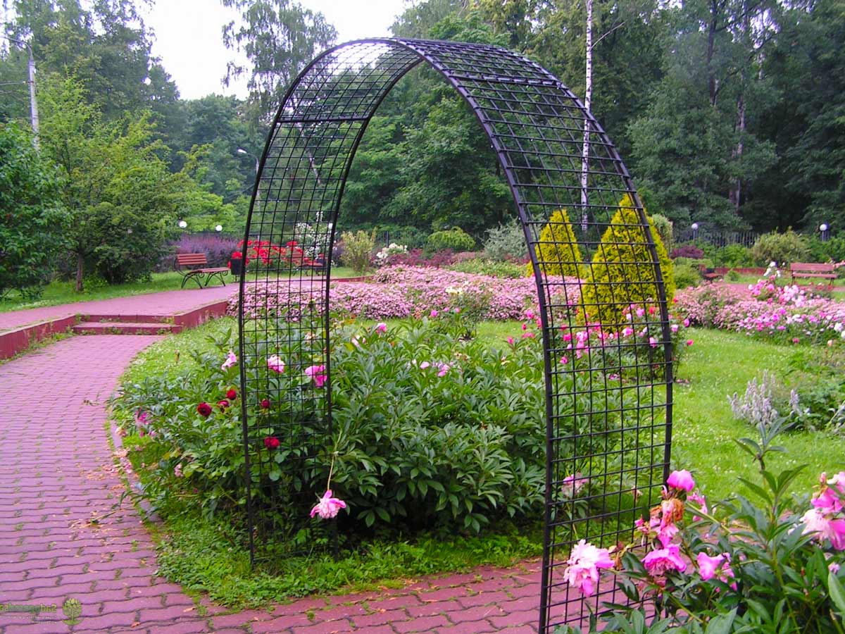 Садовые арки из металлической сетки