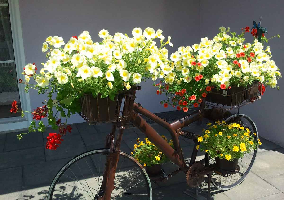 Велосипед в ландшафтном дизайне, в саду 