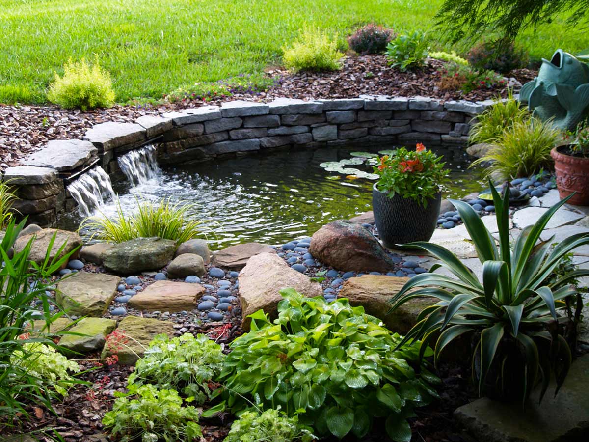 Садовый водоем: устройство своими руками, выбор размера, расположение в саду
