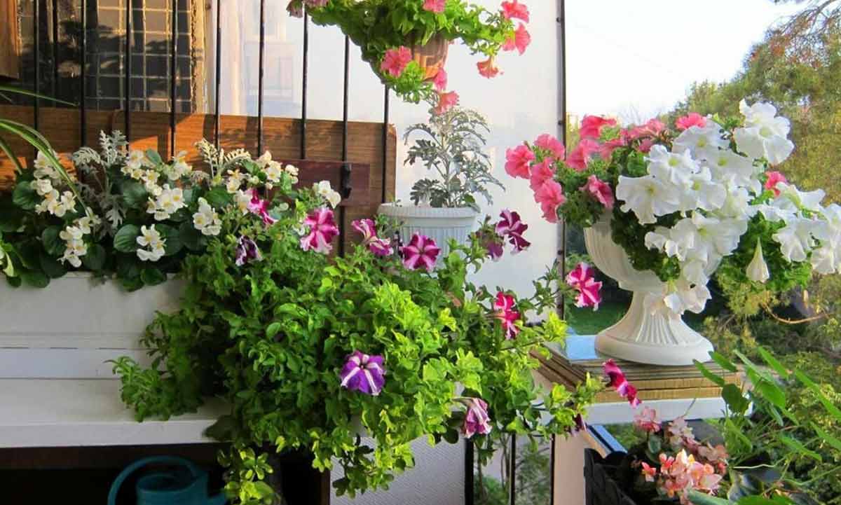 Как превратить домашний балкон в прекрасный сад