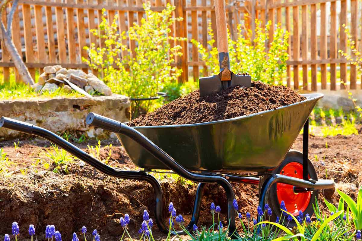 Как правильно удобрять сад весной