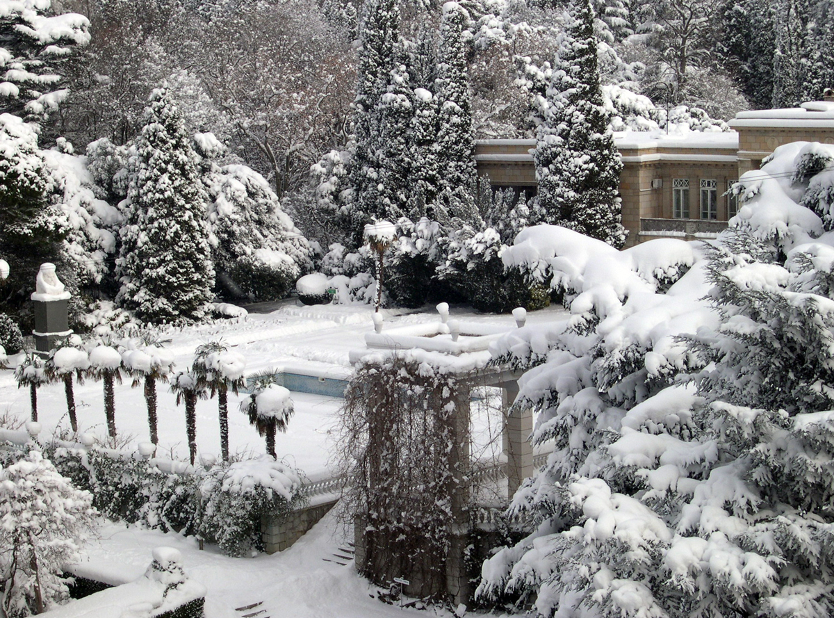 Красивый сад зимой
