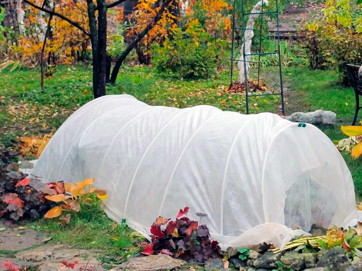 Как подготовить садовый участок к зиме