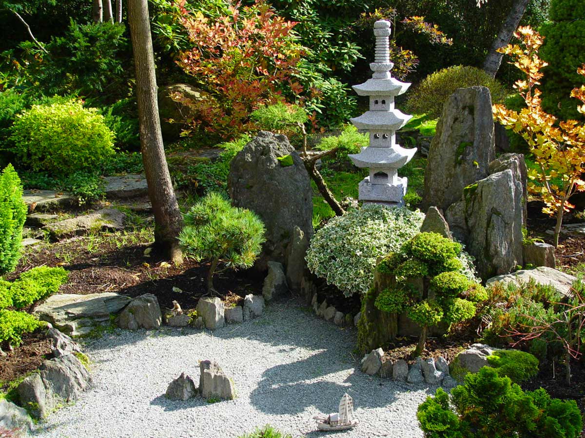 Популярные растения для японского сада