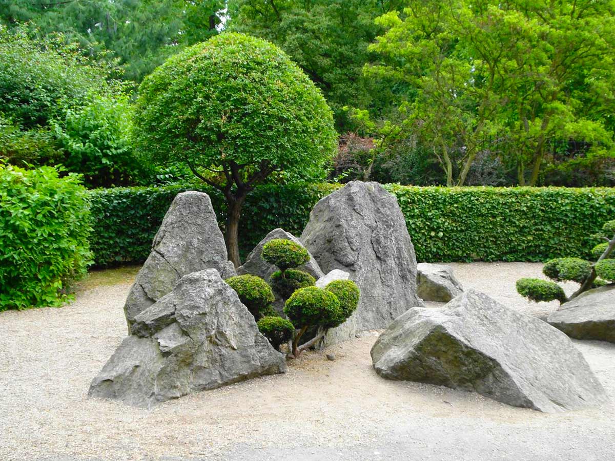 Растения с камнями для японского сада