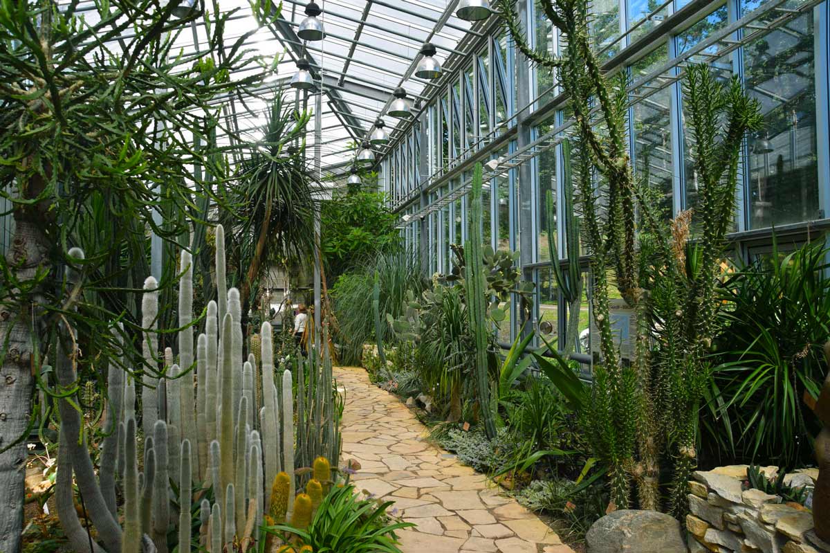 Ботанический сад в Таллине - зимняя оранжерея